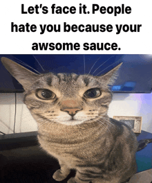 Awesome Sauce Cat GIF - Awesome Sauce Cat Silly GIFs