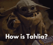 How Is Tahlia GIF - How Is Tahlia GIFs
