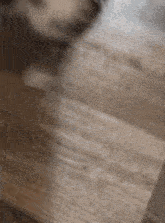 a dog is laying on a wooden floor .