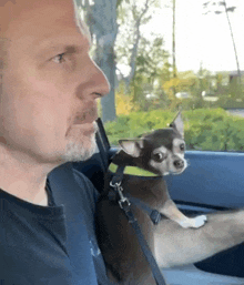a man is sitting in a car with a small dog on his lap .