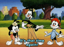 Animaniacs Its That Time Again GIF