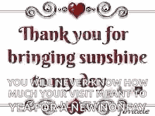 Thank You Thank You For Bringing Sunshine To My Day GIF - Thank You Thank You For Bringing Sunshine To My Day You Will Never Know How Much Your Visit Meant GIFs