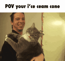 Cat Pov GIF