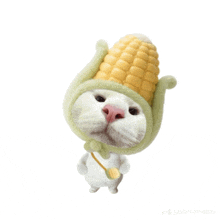 a white cat with a corn on the cob on its head