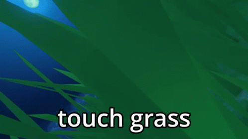 getting ready to touch grass Genshin Impact
