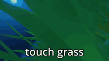 grass touch