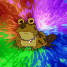 a frog wearing a collar and a tag with the letter c on it sits on a colorful background