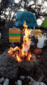 Hybr8 Camping GIF - Hybr8 Camping Fire GIFs
