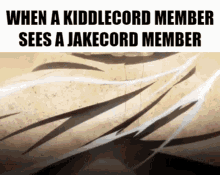 kiddlecord jakecord baki