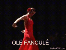 Fanculè Olé GIF - Fanculè Olé Meme GIFs