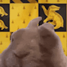 GIF