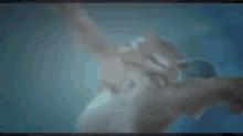 Iceage Diego GIF - Iceage Diego Ice GIFs
