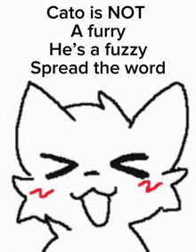 a drawing of a cat that says cato is not a furry