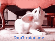 Fox Text Added GIF - Fox Text Added Dont Mind Me GIFs