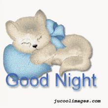 Good Night Cat GIF - Good Night Cat Kitten GIFs