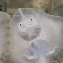 a blurred image of a person 's face behind a clear plastic bag