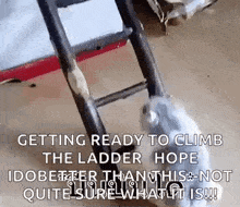 Climbingladder Ladderclimb GIF - Climbingladder Ladderclimb GIFs