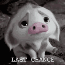 Last Chance GIF - Last Chance Moana GIFs