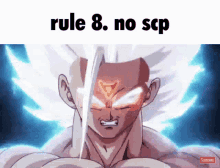 scp rules rule8 rule secure contain protect