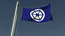 a blue and white flag with a star in the center