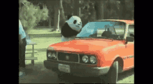 Bad Panda Dont Mess With Me GIF - Bad Panda Dont Mess With Me Dont Mess With Panda GIFs
