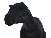 a close up of a black dinosaur 's head and neck