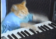 Keybaord Cat+ Skrillex GIF - Animal Pet Kitten GIFs