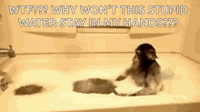 Monkey Taking A Bath GIF - Monkey Taking A Bath Why Wont This Stupid Water GIFs