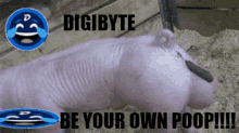 Be Your Own Poop GIF - Be Your Own Poop GIFs