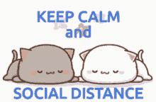 Keep Calm Social Distancing GIF