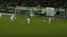 a soccer game is being played in front of a banner that says capelli