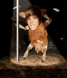 Pole Dance Stripper GIF - Pole Dance Stripper Justin Bieber GIFs