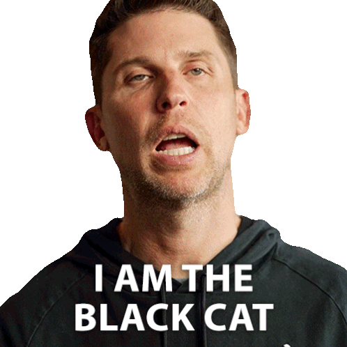 I Am The Black Cat Denny Hamlin Sticker