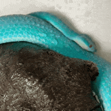 Blue Snake GIF - Blue Snake Close Up GIFs