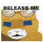 a picture of a cat wearing glasses with the words release me below it
