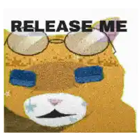 a picture of a cat wearing glasses with the words release me below it