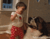Girl Hugging Dog Baby Hugging Dog GIF