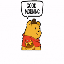 bears morning