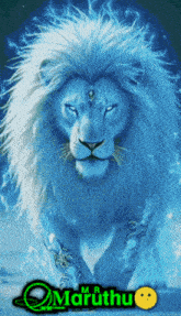 a picture of a lion with the name marudhu written below it