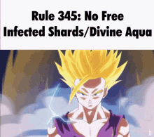 No Free Infected Shards Rule345 GIF - No Free Infected Shards Rule345 Gohan GIFs