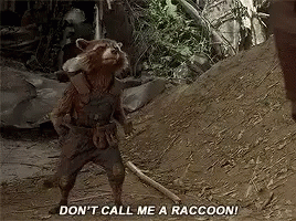 rocket-raccoon-dont-call-me-a-raccoon.gi