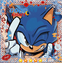 a picture of sonic the hedgehog with the words good night written on it