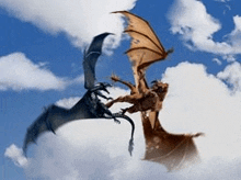 two dragons are flying in the sky .