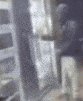 a blurry picture of a kitchen with a white dog standing on the floor