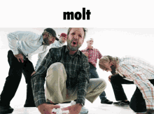 Molt GIF - Molt GIFs