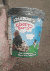 Ben And Jerrys Cherry Garcia GIF