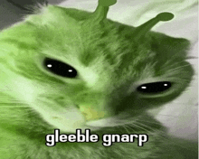 69 Alien Cat Car Gnarp Gleeble 420 Idk GIF