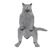 a black and white photo of a cat standing on its hind legs on a white background .