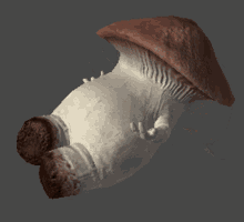 Mantar Adam Düşme Animasyonu Mushroom GIF