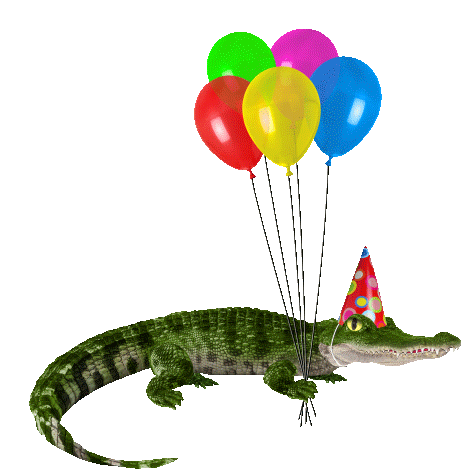 Crocodile Chomping Sticker - Crocodile Chomping Birthday Stickers